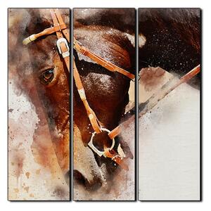Obraz na plátně - Koňská hlava v abstráktním zobrazení- čtverec 3263B (75x75 cm)