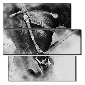 Obraz na plátně - Koňská hlava v abstráktním zobrazení- čtverec 3263QC (75x75 cm)