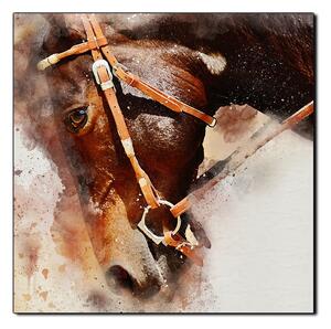 Obraz na plátně - Koňská hlava v abstráktním zobrazení- čtverec 3263A (50x50 cm)