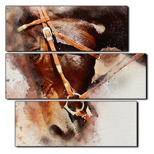 Obraz na plátně - Koňská hlava v abstráktním zobrazení- čtverec 3263C (75x75 cm)