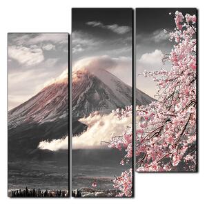Obraz na plátně - Hora Fuji a třešňové květiny na jaře- čtverec 3266QD (75x75 cm)