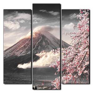 Obraz na plátně - Hora Fuji a třešňové květiny na jaře- čtverec 3266QC (75x75 cm)