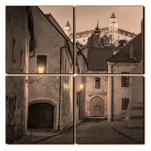 Obraz na plátně - Bratislava staré město s hradem vzadu- čtverec 3265FE (60x60 cm)