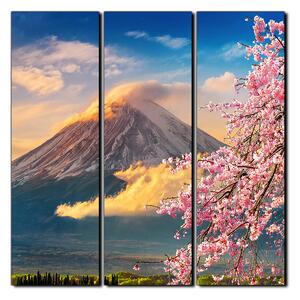 Obraz na plátně - Hora Fuji a třešňové květiny na jaře- čtverec 3266B (75x75 cm)