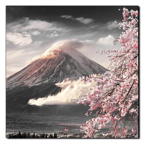 Obraz na plátně - Hora Fuji a třešňové květiny na jaře- čtverec 3266QA (50x50 cm)