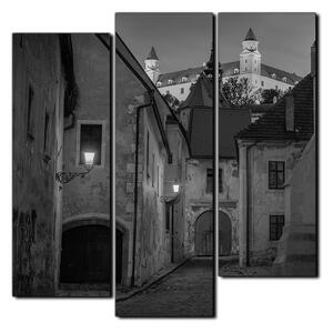 Obraz na plátně - Bratislava staré město s hradem vzadu- čtverec 3265QC (75x75 cm)