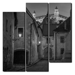 Obraz na plátně - Bratislava staré město s hradem vzadu- čtverec 3265QD (75x75 cm)