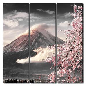Obraz na plátně - Hora Fuji a třešňové květiny na jaře- čtverec 3266QB (75x75 cm)