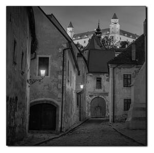 Obraz na plátně - Bratislava staré město s hradem vzadu- čtverec 3265QA (50x50 cm)