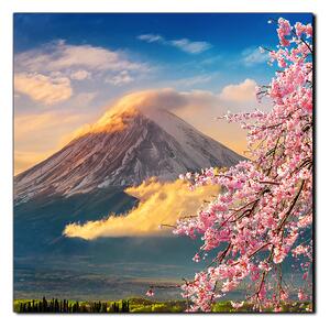 Obraz na plátně - Hora Fuji a třešňové květiny na jaře- čtverec 3266A (50x50 cm)