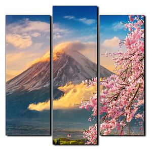 Obraz na plátně - Hora Fuji a třešňové květiny na jaře- čtverec 3266C (75x75 cm)