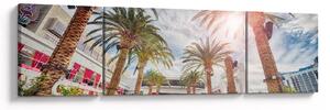 Obraz - palmy s bazénem (170x50 cm)