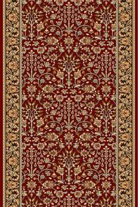 Běhoun Agnella Isfahan Itamar Rubin