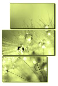Obraz na plátně - Dandelion z kapkami rosy- obdélník 7262ZD (90x60 cm)