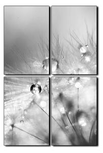 Obraz na plátně - Dandelion z kapkami rosy- obdélník 7262QE (90x60 cm)