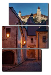 Obraz na plátně - Bratislava staré město s hradem vzadu- obdélník 7265D (105x70 cm)