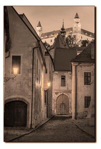 Obraz na plátně - Bratislava staré město s hradem vzadu- obdélník 7265FA (60x40 cm)