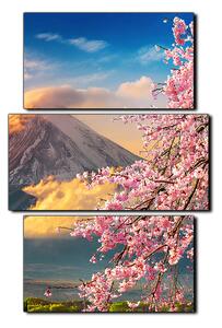 Obraz na plátně - Hora Fuji a třešňové květiny na jaře- obdélník 7266C (90x60 cm)