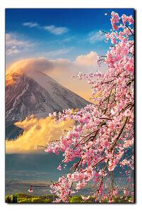 Obraz na plátně - Hora Fuji a třešňové květiny na jaře- obdélník 7266A (90x60 cm )