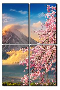 Obraz na plátně - Hora Fuji a třešňové květiny na jaře- obdélník 7266E (120x80 cm)
