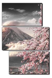 Obraz na plátně - Hora Fuji a třešňové květiny na jaře- obdélník 7266QD (90x60 cm)