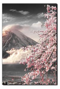 Obraz na plátně - Hora Fuji a třešňové květiny na jaře- obdélník 7266QA (90x60 cm )