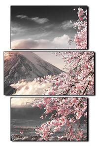 Obraz na plátně - Hora Fuji a třešňové květiny na jaře- obdélník 7266QC (120x80 cm)