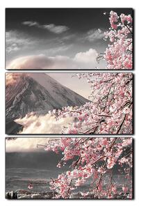 Obraz na plátně - Hora Fuji a třešňové květiny na jaře- obdélník 7266QB (90x60 cm )