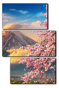 Obraz na plátně - Hora Fuji a třešňové květiny na jaře- obdélník 7266D (90x60 cm)