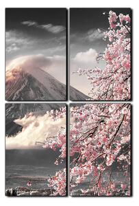 Obraz na plátně - Hora Fuji a třešňové květiny na jaře- obdélník 7266QE (90x60 cm)