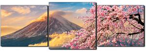 Obraz na plátně - Hora Fuji a třešňové květiny na jaře- panoráma 5266D (150x50 cm)