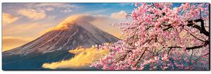 Obraz na plátně - Hora Fuji a třešňové květiny na jaře- panoráma 5266A (105x35 cm)
