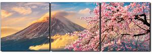 Obraz na plátně - Hora Fuji a třešňové květiny na jaře- panoráma 5266B (150x50 cm)
