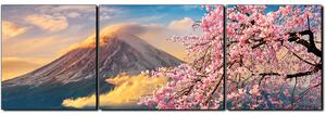 Obraz na plátně - Hora Fuji a třešňové květiny na jaře- panoráma 5266C (150x50 cm)