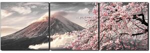 Obraz na plátně - Hora Fuji a třešňové květiny na jaře- panoráma 5266QB (90x30 cm)