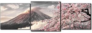 Obraz na plátně - Hora Fuji a třešňové květiny na jaře- panoráma 5266QD (90x30 cm)