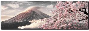 Obraz na plátně - Hora Fuji a třešňové květiny na jaře- panoráma 5266QA (105x35 cm)