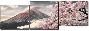 Obraz na plátně - Hora Fuji a třešňové květiny na jaře- panoráma 5266QE (90x30 cm)