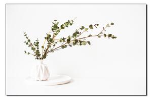 Obraz na plátně - Větev eukalyptu v bílé váze na bílém pozadí 1272A (60x40 cm)