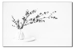 Obraz na plátně - Větev eukalyptu v bílé váze na bílém pozadí 1272QA (90x60 cm )