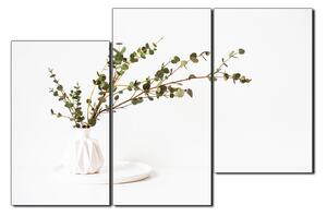 Obraz na plátně - Větev eukalyptu v bílé váze na bílém pozadí 1272D (120x80 cm)