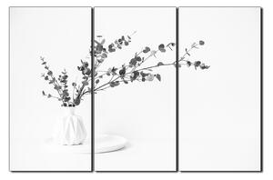 Obraz na plátně - Větev eukalyptu v bílé váze na bílém pozadí 1272QB (150x100 cm)