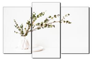 Obraz na plátně - Větev eukalyptu v bílé váze na bílém pozadí 1272C (90x60 cm)