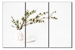 Obraz na plátně - Větev eukalyptu v bílé váze na bílém pozadí 1272B (150x100 cm)