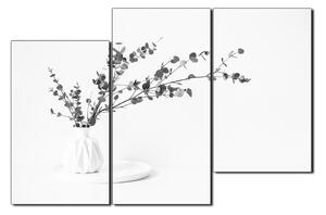 Obraz na plátně - Větev eukalyptu v bílé váze na bílém pozadí 1272QD (150x100 cm)