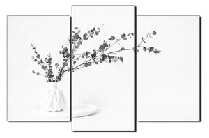Obraz na plátně - Větev eukalyptu v bílé váze na bílém pozadí 1272QC (120x80 cm)