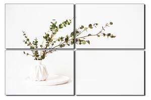 Obraz na plátně - Větev eukalyptu v bílé váze na bílém pozadí 1272E (90x60 cm)