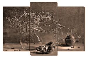 Obraz na plátně - Zátiší - větev a granátové jablko 1274FC (90x60 cm)