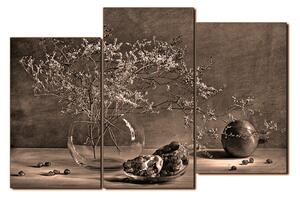 Obraz na plátně - Zátiší - větev a granátové jablko 1274FD (90x60 cm)