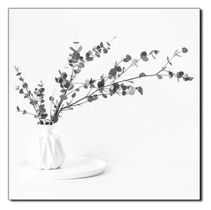 Obraz na plátně - Větev eukalyptu v bílé váze na bílém pozadí - čtverec 3272QA (50x50 cm)